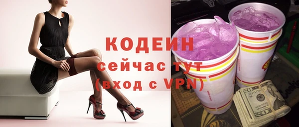гашик Бородино