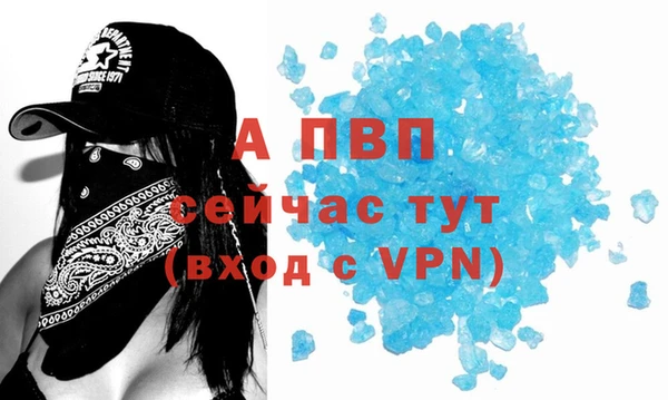 гашик Бородино