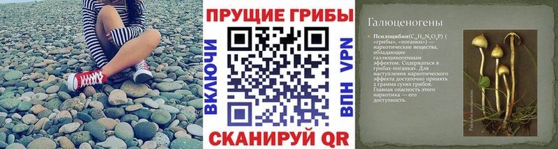хочу наркоту  hydra маркетплейс  Псилоцибиновые грибы прущие грибы  Нестеровская 